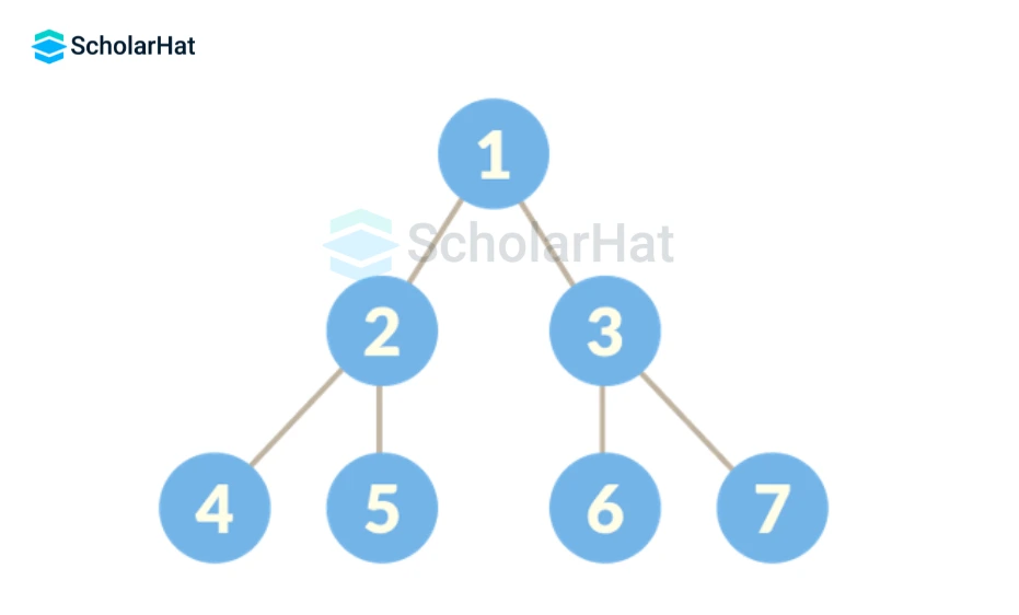 Binary Tree in Data Structures